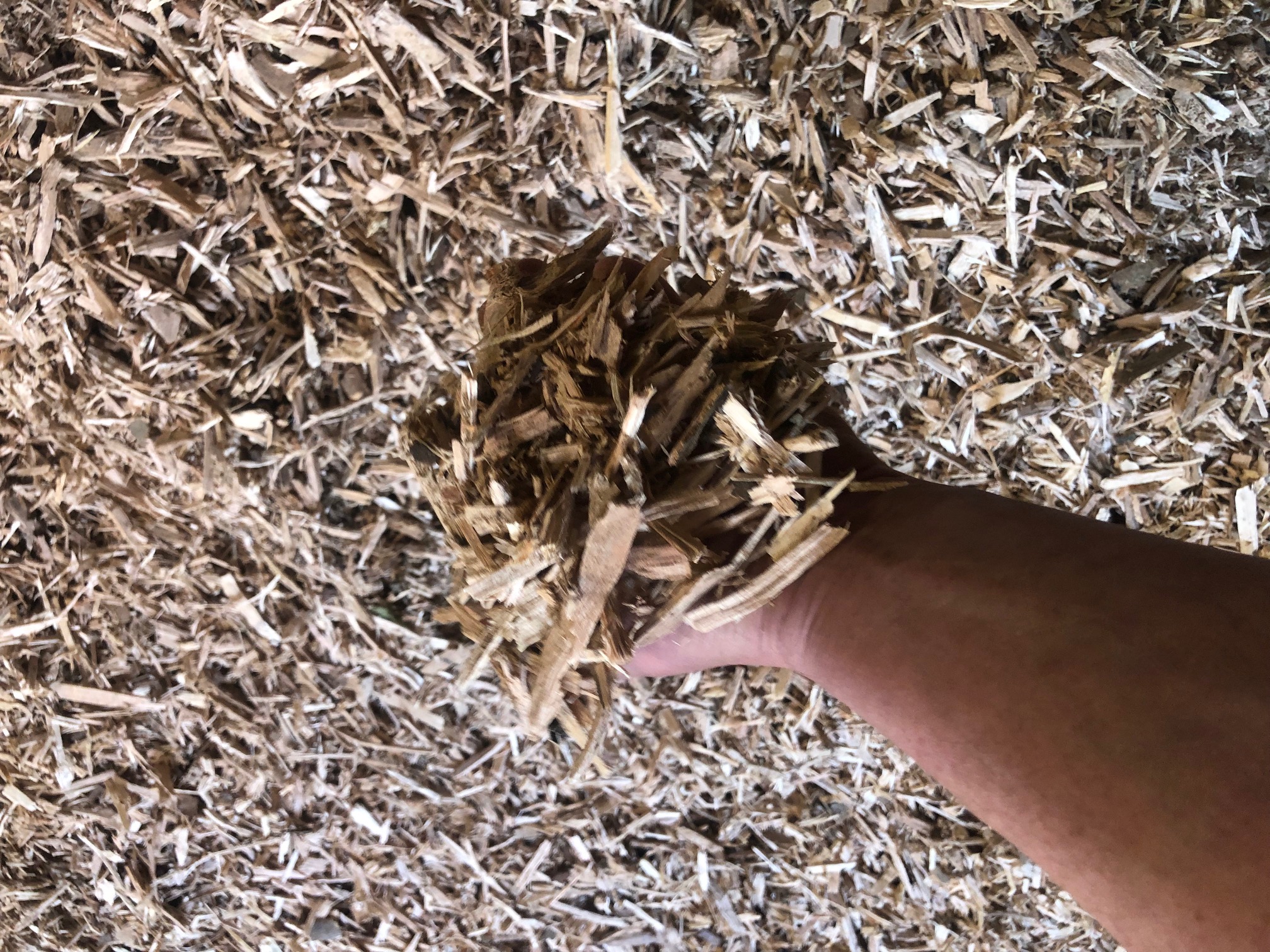 Stokerflis og Træpiller